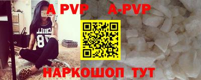стафф Белореченск